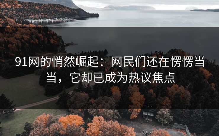 91网的悄然崛起：网民们还在愣愣当当，它却已成为热议焦点